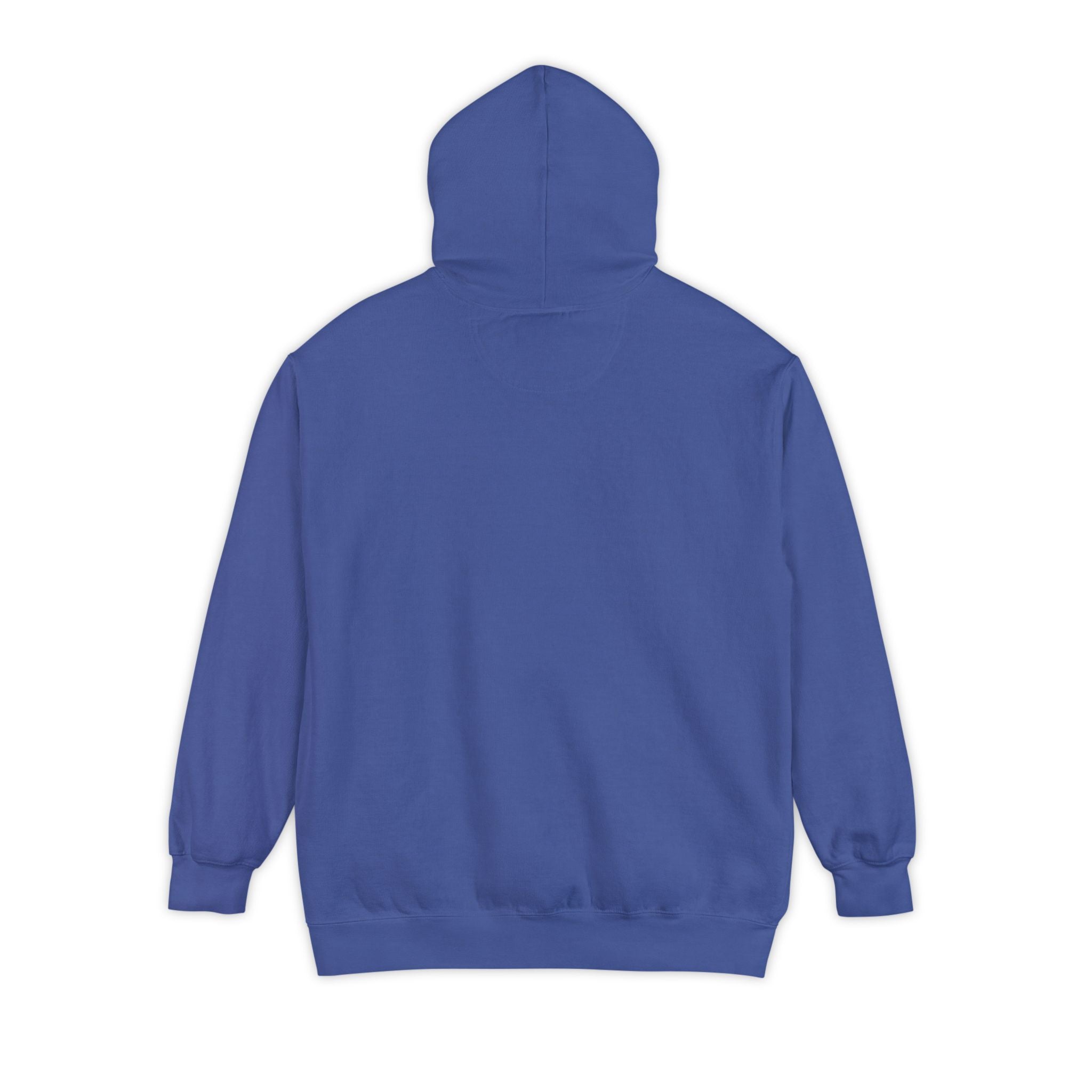 Silly Goose Hoodie